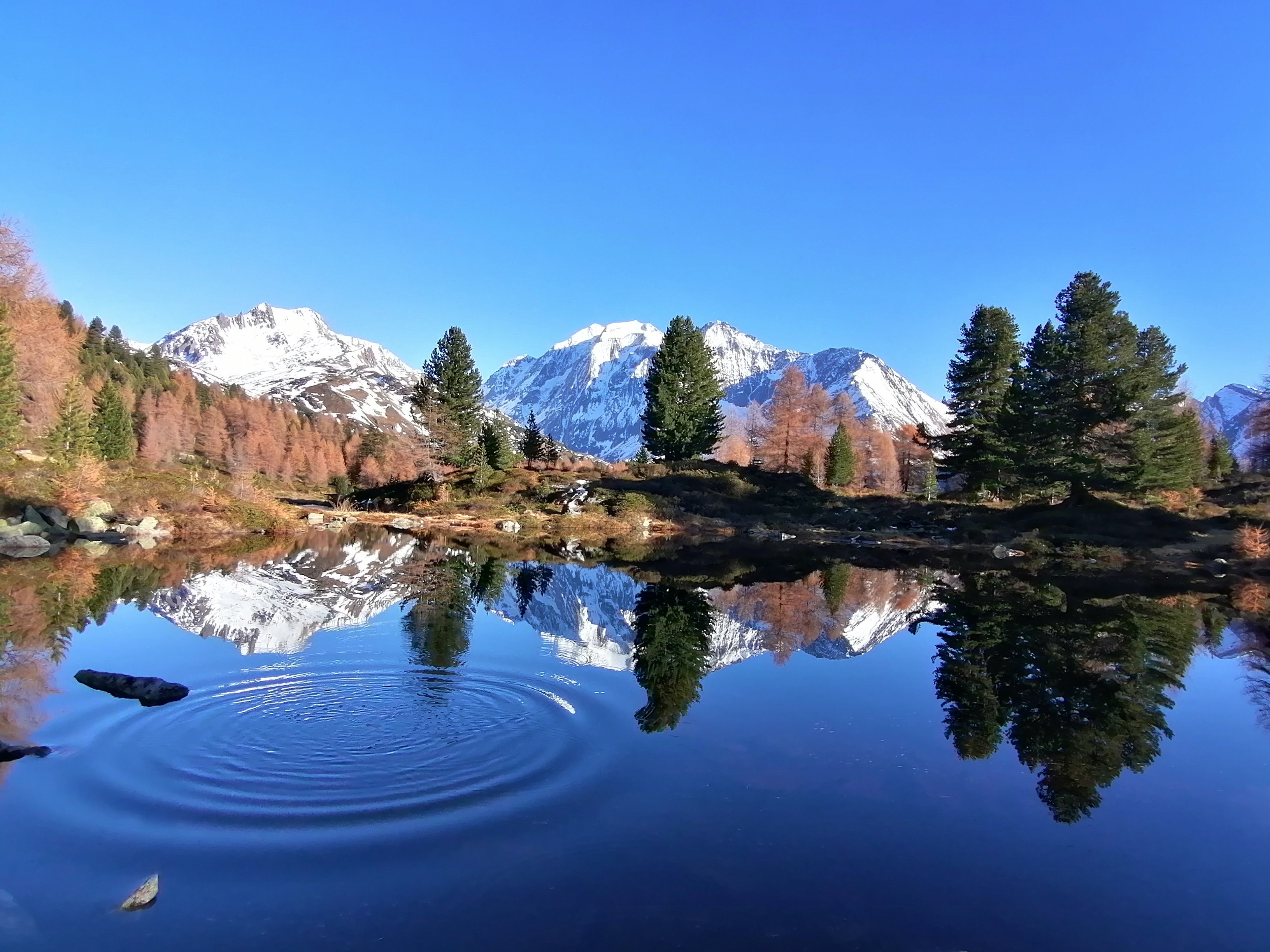 Grieplsee